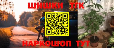 хмурый Тула