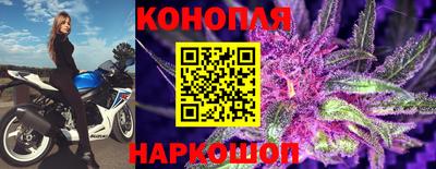 каннабис Дубна